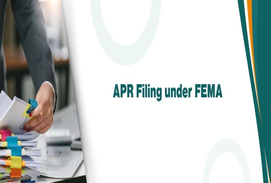 Annual Performance Report (APR) Filing under FEMA: Audited and Unaudited Financial Statements Requirements