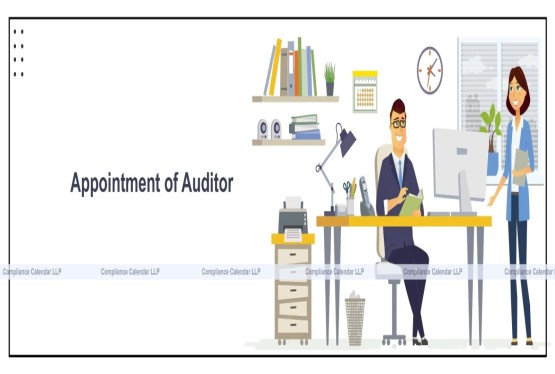 Appointment of Auditor Within the Limit of Twenty Companies