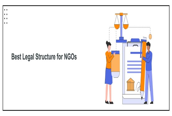 Best NGO Structure in India: Trust, Society or Section 8 Company