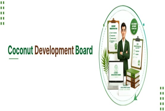 Coconut Development Board Export Registration Process