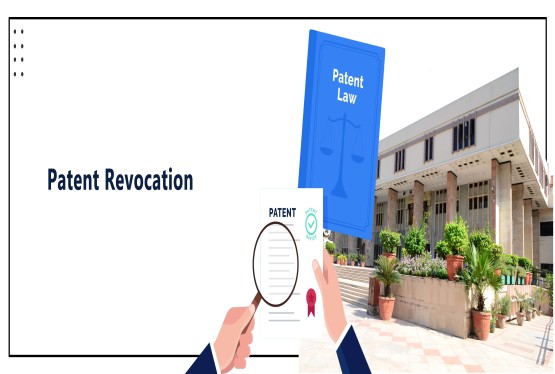Delhi HC Clears Way for Post-Expiry Patent Revocation