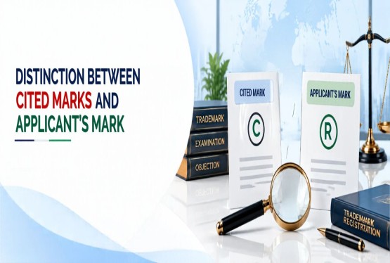 Distinction Between Cited Marks & Applicant's Mark