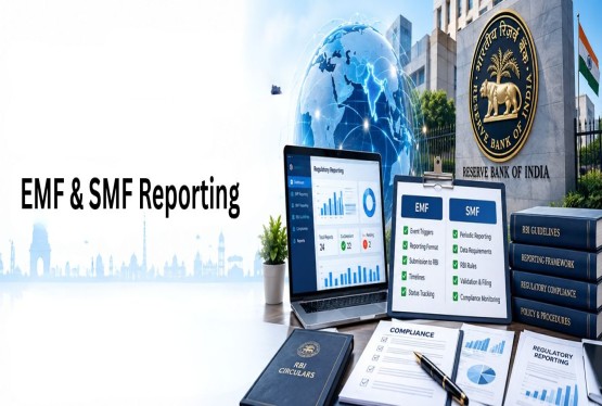 EMF & SMF Reporting: Key Differences, Rules & Compliance