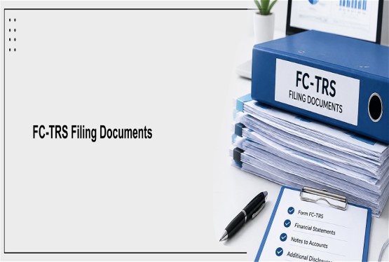 CA Certificate and Tax Clearance Documents for Form FC-TRS Filing on RBI FIRMS Portal