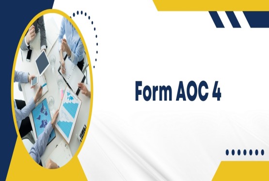 Form AOC 4 and Financial Disclosures