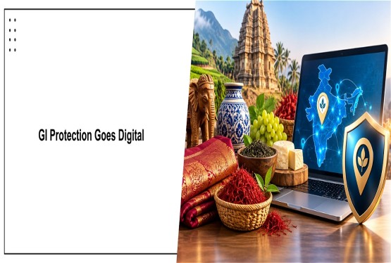 Digitising Geographical Indication Protection in India