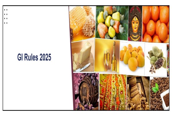 Geographical Indications (GI) Rules Amended: Key Highlights of the 2025 Notification