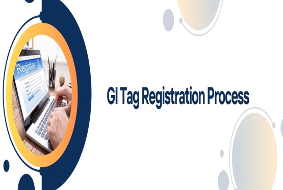 Procedure to Register the GI Tags in India