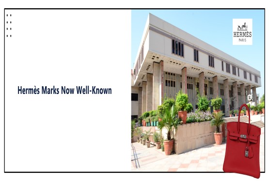 Delhi High Court Declares Birkin Bag Shape and Three Other Hermès Marks as Well-Known Trademarks