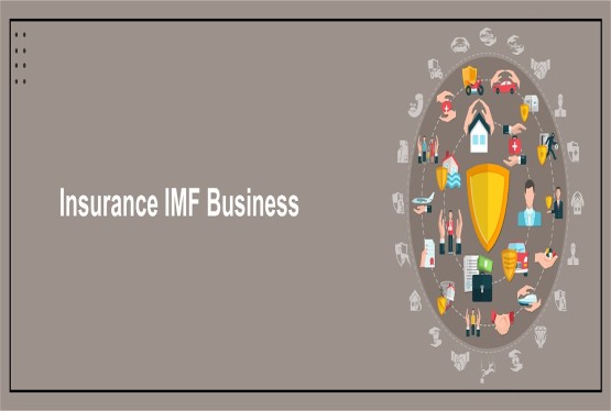 Insurance Marketing Firm (IMF): Modern Customer Insurance Solution