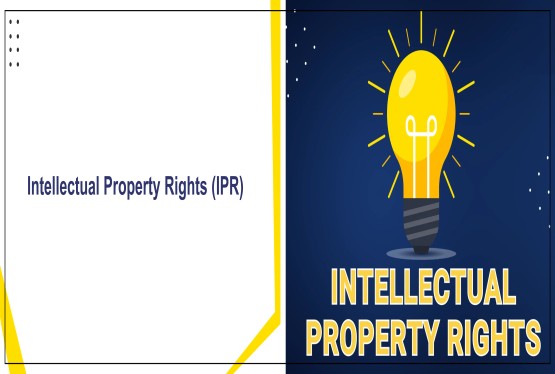 Importance of International Bureau, PCT And WIPO in the IPR Field