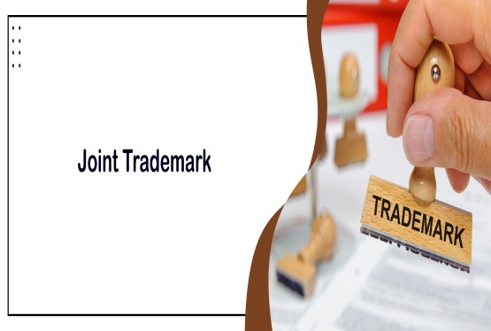Delhi High Court on Joint Trademark Ownership in Mandeep Singh v. Shabir Momin