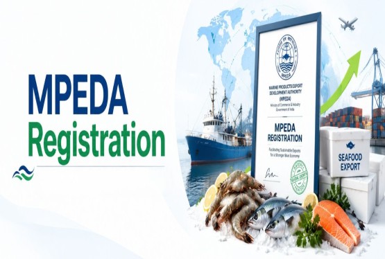 MPEDA Registration Online: Process & Benefits
