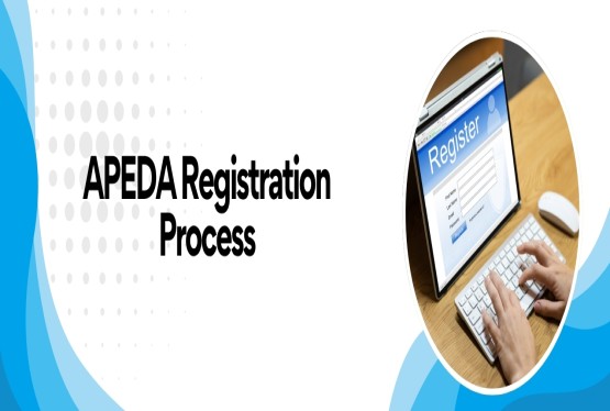 Online Process of APEDA Registration