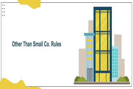 Disclosure & Compliance for “Other Than Small Company” under CA 2013