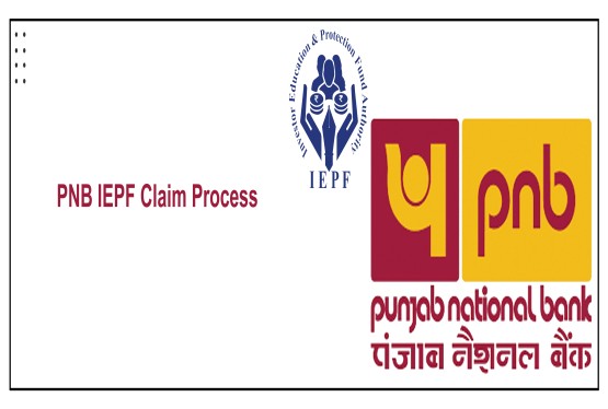 How to Recover PNB Unclaimed Shares and Dividends from IEPF