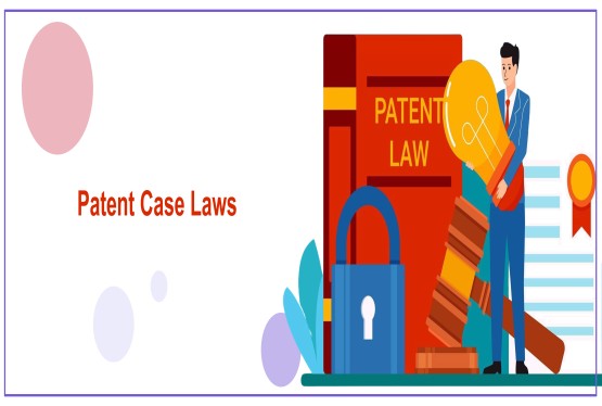Recent Patent Case Law in India: Key Judicial Developments in 2024–2025
