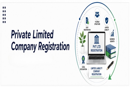Why Choose Private Limited Company Registration?