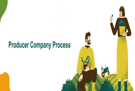 Process of Producer Company Registration in India