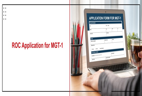 Application with ROC for Rectification of Register of Members (MGT-1)