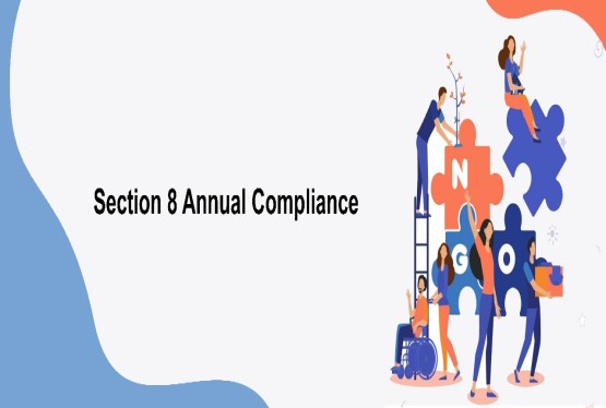 Annual Compliance of Company Under Section 8