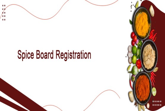 Process of Spice Board Registration