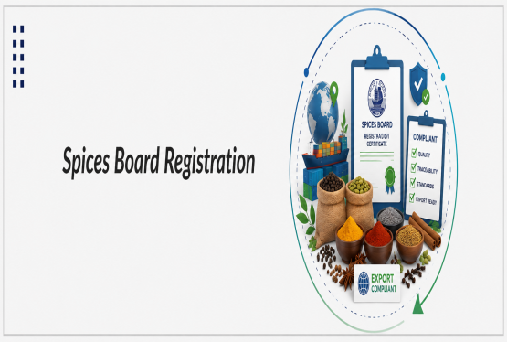 What Documents Are Needed for Spices Board Registration?