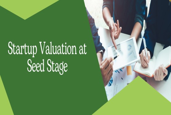 Determining the Valuation of a Startup in the Seed Funding Stage