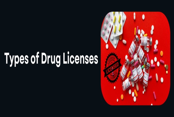 Different Types of Drug Licenses in India