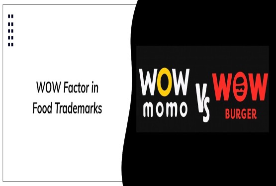The ‘WOW’ Factor: Section 11 and the Jurisprudence of Trademark Confusion in Food Brands
