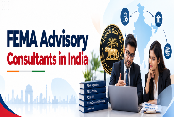 FEMA Advisory Consultants in India