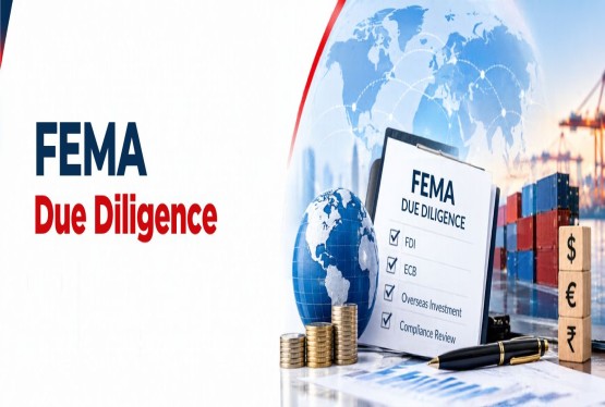 FEMA Due Diligence: Process, Checklist & Compliance