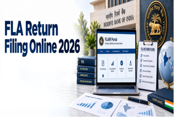 FLA Return Filing Online 2026: RBI FLAIR Guide