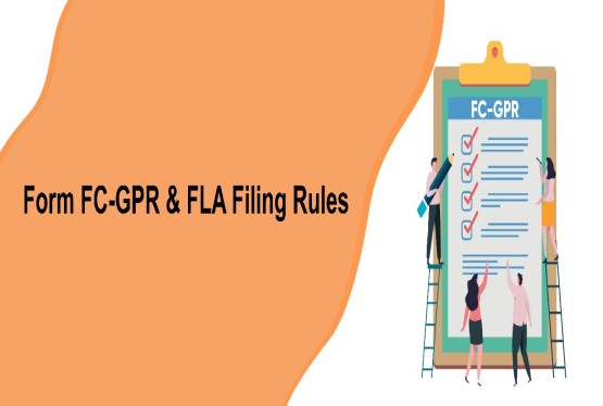 FC-GPR and FLA Return: Filing Rules and Penalties