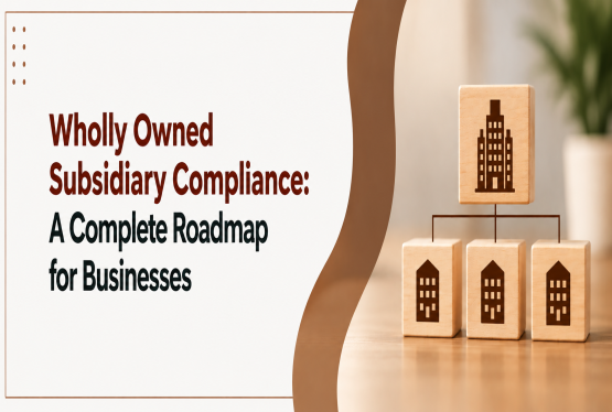 Wholly Owned Subsidiary Compliance: A Complete Roadmap for Businesses