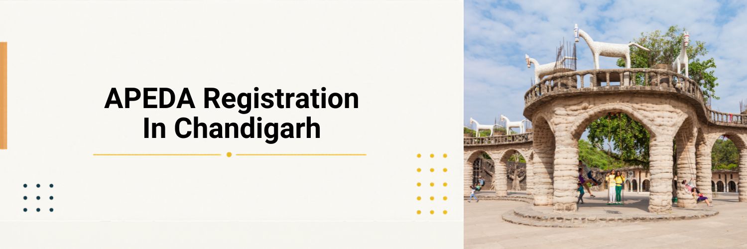 Apeda Registration