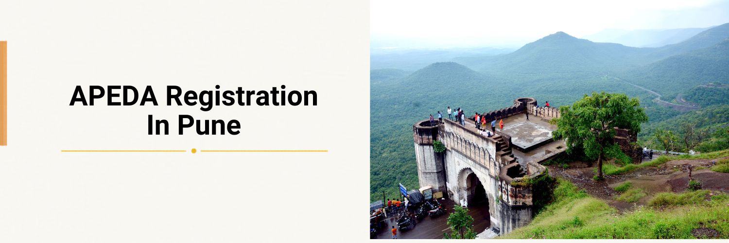 Apeda Registration