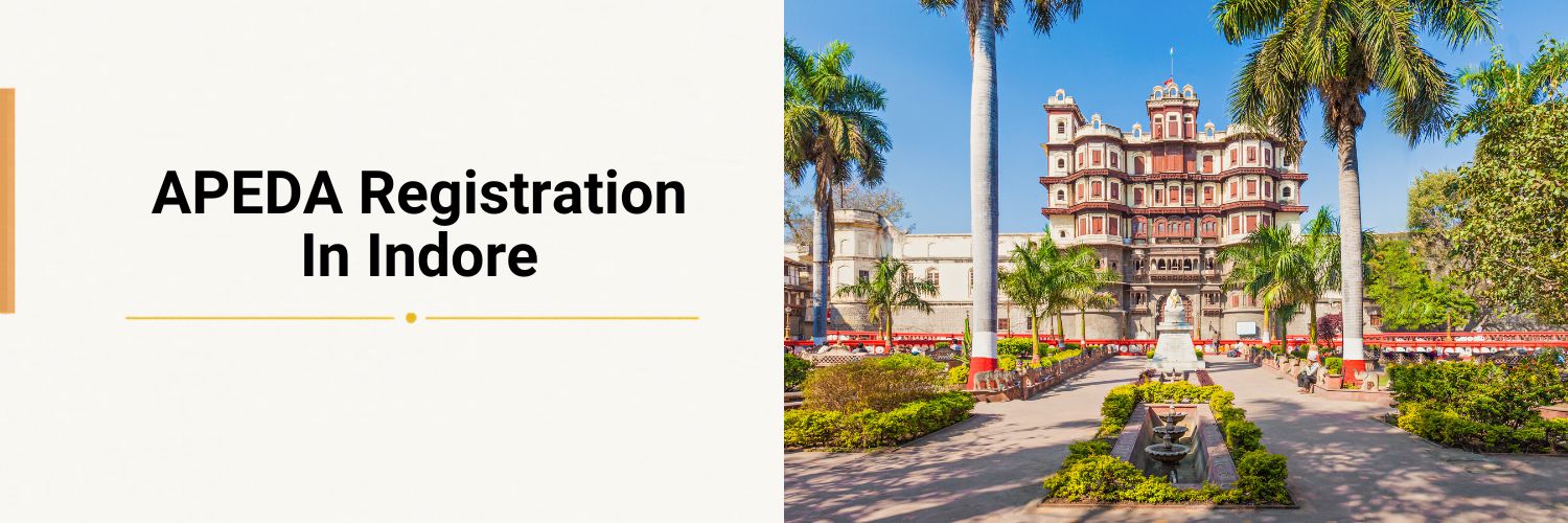 Apeda Registration