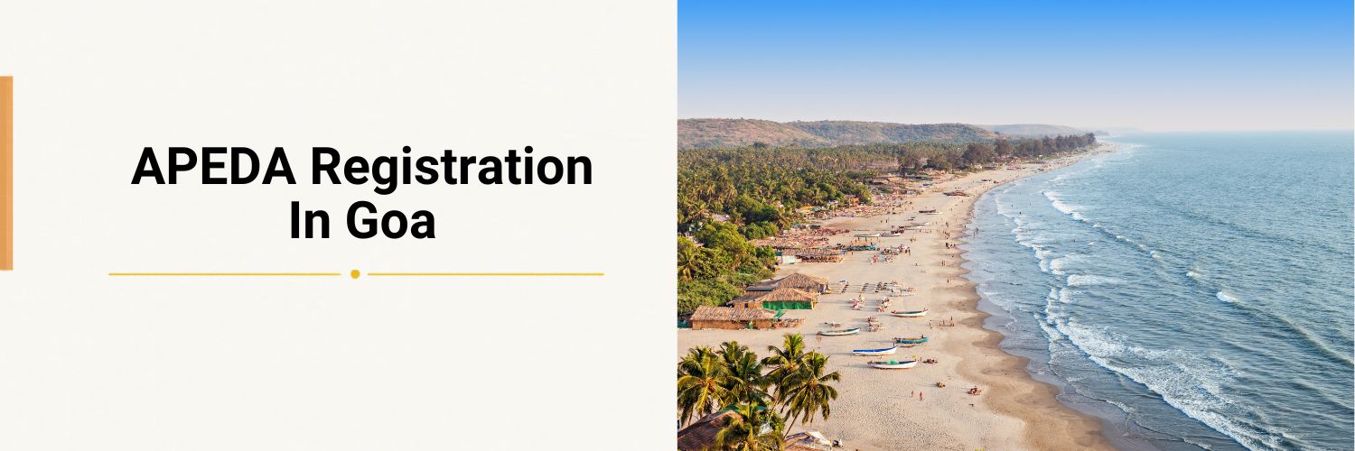 Apeda Registration
