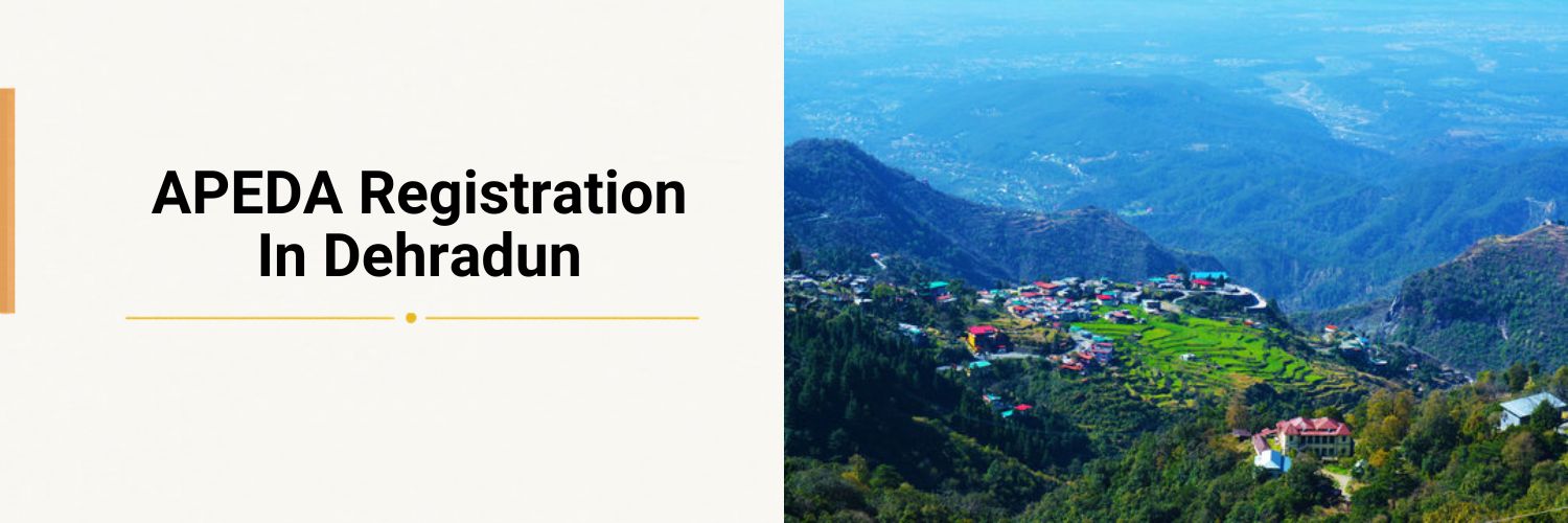 Apeda Registration