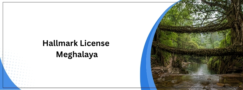 Hallmark License
